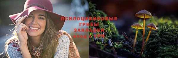 сатива Баксан