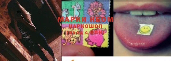 сатива Баксан