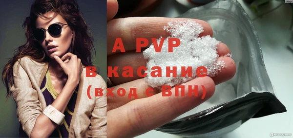 сатива Баксан