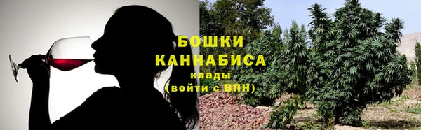 сатива Баксан
