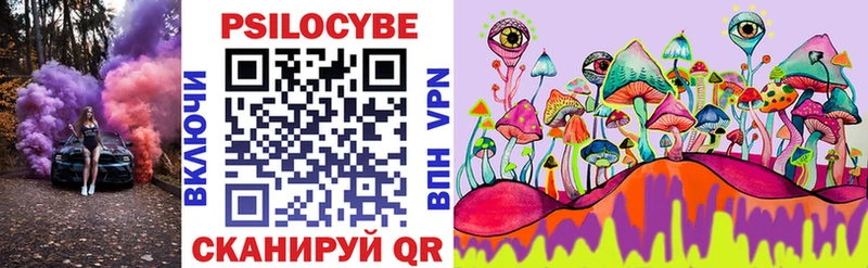 Купить  Асино  Галлюциногенные грибы Psilocybine cubensis 